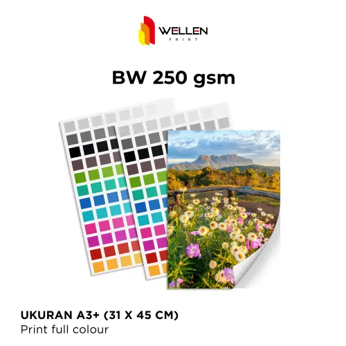 BW-250-GSM.jpg