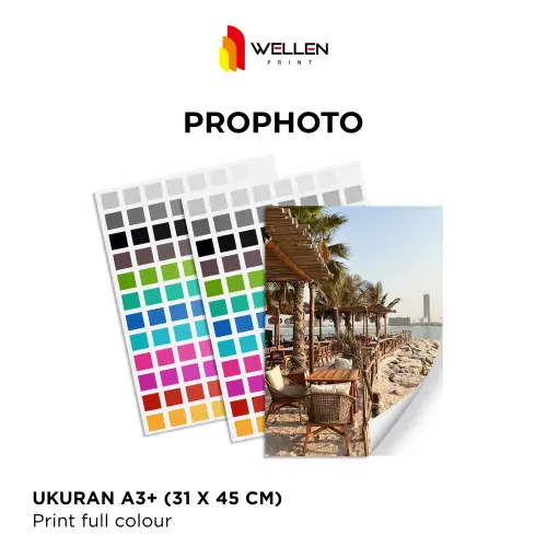 PROPHOTO.jpg