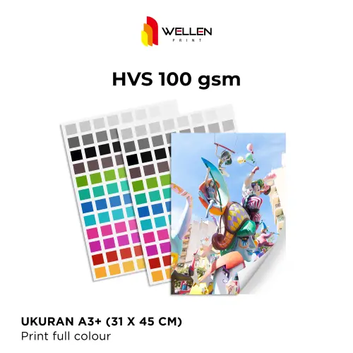 HVS-100-GSM.jpg