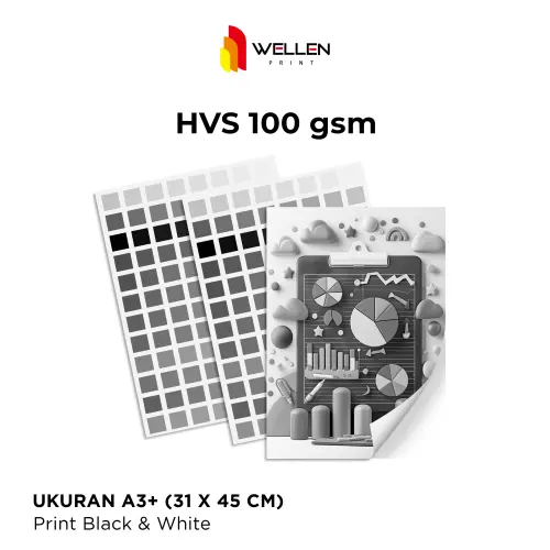 HVS-100.jpg